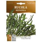[ Италия. трава. вид ]Hortus фирма wild rukola( Rocket ) Selvatica cell палочки ka{ фиксация вид }[COD.BSORUC002]