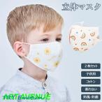 子供 マスク ２枚セット コットン 立体マスク 洗える キッズ コットンマスク 蒸れない ソフト ２点 ベビー マスク 立体縫製 防風 防塵