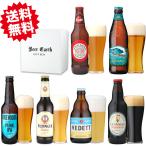 世界の エールビール 6本 飲み比べ セット/父の日 内祝 出産内祝 誕生日 お礼 など各種お祝いに 各種熨斗・ギフトシール対応