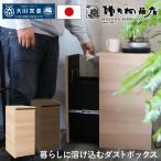 ショッピングダストbox ゴミ箱に見えないダストボックス 増田桐箱店 大川家具 45L 選べるカラー ダストボックス ゴミ箱 北欧 スライド 引き出し式 スリム コンパクト