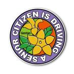 シルバーマークステッカー　女性向け（マグネットタイプ）母の日敬老の日　【HASBY Minority graphic】高齢者 もみじマーク 安全運転