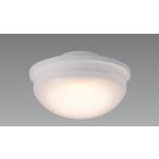 LED電球、LED蛍光灯