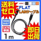 LANケーブル ランケーブル フラット 1m CAT6準拠 1年保証 ストレート ツメ折れ防止カバー フラットLANケーブル UL.YN