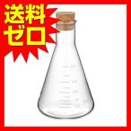 iwaki サイキ スパイスボトル 300ml KB5063