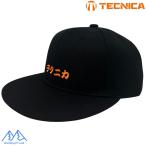  Technica Flat козырек колпак шляпа черный TECNICA CAP TECCAP1