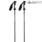  I ti- one карбоновый лыжи paul (pole) ID one XR-13 stock черный скользящий XR-13 IDONE