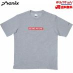 フェニックス NO SKI NO LIFE Tシャツ ヘザーグレイ Phenix T-shirts PL912TS04 NO SKI NO LIFE S/S(半袖Ｔシャツ) HEGR
