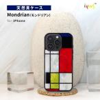 国内正規品 ikins iPhone17ProMaxケース 天然貝ケース Mon