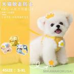  собака кошка для . данный .& Harness & Lead комплект домашнее животное . данный . домашнее животное Lead кошка сопутствующие товары домашнее животное товары кошка для шлейка скидка шнурок симпатичный мягкая игрушка "дышит" выпадение нет 