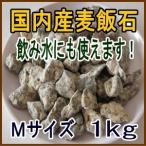 国産　麦飯石【Mサイズ、1ｋg】【美濃白川麦飯石、岐阜県白川産】【宅急便コンパクトでお届け（条件付き）】【代引き可能】