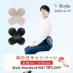 【公式ストア】スタイルスタンダード N01 生地無し Style Standard 猫背 座椅子 椅子 デスクワーク 腰 姿勢ケア 美姿勢 骨盤 ボディメイクシート STN STPP