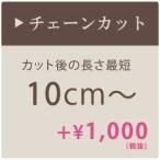 ＼5/7まで限定クーポン配布中／ シャンデリア チェーンカット 最短10cm 加工 チェーン加工 短く調整