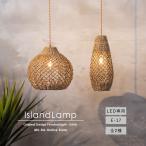 ペンダントライト 1灯 おしゃれ リゾート 照明 ウォーターヒヤシンス 水草 シェード