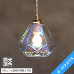 ペンダントライト LED 1灯 おしゃれ 北欧 オーロラ 照明 レオンmini リモコン対応 調光 調色
