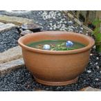 [ポイント8倍]信楽焼睡蓮鉢窯肌鈴...