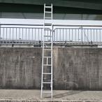 [ самовывоз ограничение ]Hasegaw/ Hasegawa HE2-81 aluminium 2 полосный лестница HE2 type 