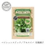 有機種子 グリーンフィールドプロジェクト ペイシェンスドック／ワセスイバ ／オゼイユ0.2g  固定種 購入金額別特典あり 正規品 オーガニック 化学農薬なし 化…
