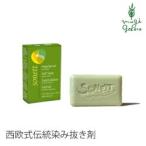 ソネット 洗剤 オーガニック sonett ゴールソープバー 100g×2個セット しみ抜き石鹸 オーガニック 無添加 洗剤 自然 しみ 血 泥