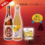 ギフト 長崎旅情〜ぶらり酒セット お試しセットA ながさき満々芋焼酎原酒・ゆうこうのお酒【送料無料】オール長崎おのし包装無料 ブランド焼酎 果実のお酒