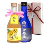  День отца День матери армия . остров potato shochu *..... sake благодарность с биркой 300ml Mini бутылка подарок 2 шт. комплект День отца День матери Valentine White Day день рождения .. соотношение 