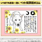 HC домашнее животное. высокий качество . лицо .po M | имя. po M / имя po M. . лицо .| человек число шт число дополнение размер модификация соответствует | собака кошка домашнее животное магазин 