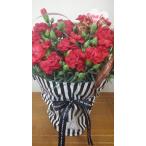 母の日 カーネーション（レッド）母の日に贈るカーネーション　日時指定可　銀行振込のお支払いは出来ません