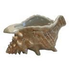 ショッピングIS トレーダー ヴィックス 巻貝 ボウル Conch Bowl Trader Vics シェル shell ティキマグ 鮑 雑貨