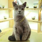  кошка Dakimakura мягко низкая упругость наволочка ...... подушка . быть Dakimakura 50cm симпатичный самочувствие .. Dakimakura кошка мягкая игрушка многофункциональный 