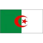 【サポーター必見】アルジェリア　国旗フラッグ【サッ