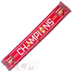 [ECM16][ внутренний не продажа ] arsenal 25-26 CHAMPIONS победа память muffler [ Premiere League /Arsenal/ футбол / шарф /gana-z] кошка pohs соответствует возможность 