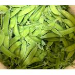 [ немедленная уплата ] природа культивирование ......120g префектура Аичи рисовое поле . город производство 