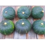  природа культивирование тыква примерно 2kg передний и задний (до и после) Hokkaido / Hyogo префектура производство 