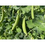 [ немедленная уплата ] природа культивирование зажим end u130g сезон ограничение 