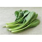  природа культивирование шпинат комацуна 160g Nagano префектура производство / Saitama префектура производство / Yamanashi префектура производство 