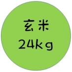 令和7年産　ひめひかり　玄米　２４ｋｇ