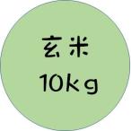 令和7年産　きぬむすめ　玄米　１０ｋｇ