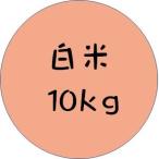 令和7年産きぬむすめ白米１０ｋｇ