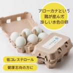 伊豆三島卵屋 青空たまご 6個入り