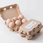 . бобы Mishima яйцо магазин Nagoya Coach n. Tama .6 штук входит 