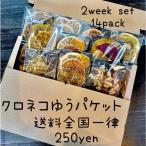 飲む ドライフルーツ2週間セット（14パック入り）　クロネコゆうぱけっと便（送料全国一律250円）　無添加　砂糖不使用　乾燥剤不使用