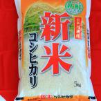 新米！京都丹後コシヒカリ1等5Kg