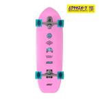 AKAW красный uCONCRETE WAVE PK BL 9.625inch Surf skate длинный скейтборд KK J5