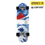  Япония ограниченная модель CARVER CarVer 47732131 CX FIJI Fuji длинный скейтборд 