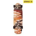 CARVER CarVer длинный скейтборд LAND skate 34.0inch CX JP LTD NAMI
