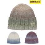 ANTHEM Anne sem сноуборд Beanie унисекс GRADATION BEANIE фиолетовый спорт 25-26 модель MM L19