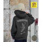 ショッピングスカル DC ディーシー プルオーバー パーカー キッズ ジュニア 子供 バックプリント KD SKATE SKULL PH フーディ YPO254511