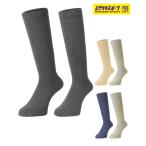 north peak North pi-k сноуборд носки носки унисекс MINE мой n носки 2 пара комплект фиолетовый спорт 25-26 модель 