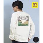 ショッピングhurley Hurley ハーレー 長袖 Tシャツ ロンT メンズ VOLCANO LONG SLEEVE TEE MCLS252091