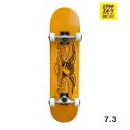 ANTIHERO anti hi-ro скейтборд Complete 7.3inch PINSTRIPE EAGLE фиолетовый спорт начинающий конечный продукт 