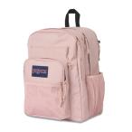 JanSport ジャンスポーツ バックパック リュックサック BIG CAMPUS MISTY ROSE 34L JS0A86EH7N8
